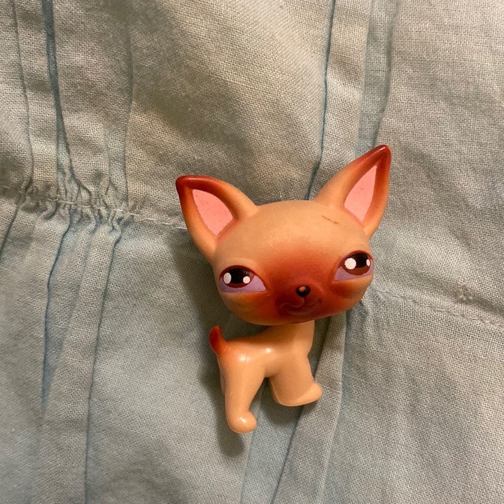 RARE littlest pet shop Chihuahua #1